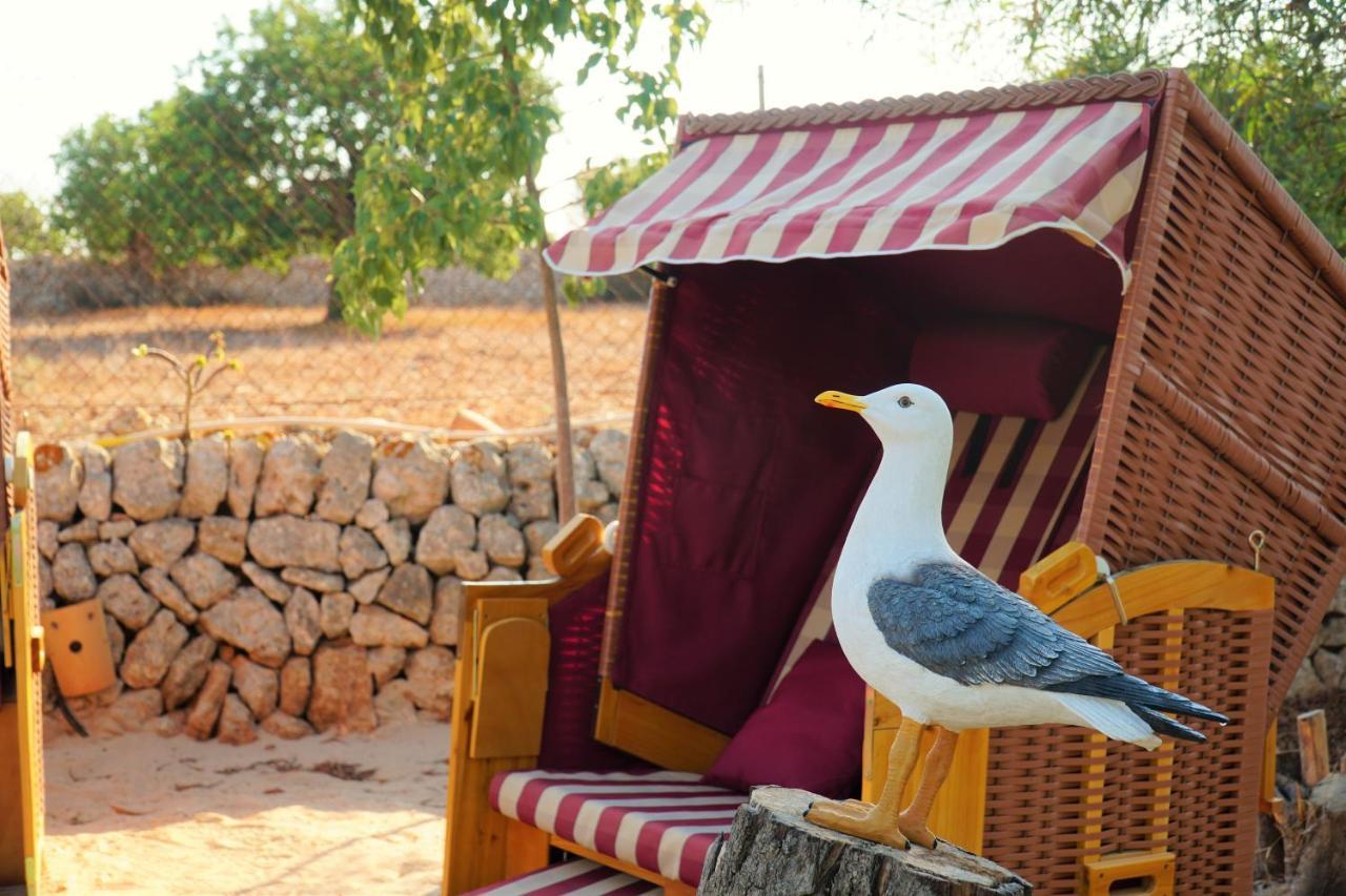 Agroturismo Finca Sa Tanca Cala D'Or Zewnętrze zdjęcie