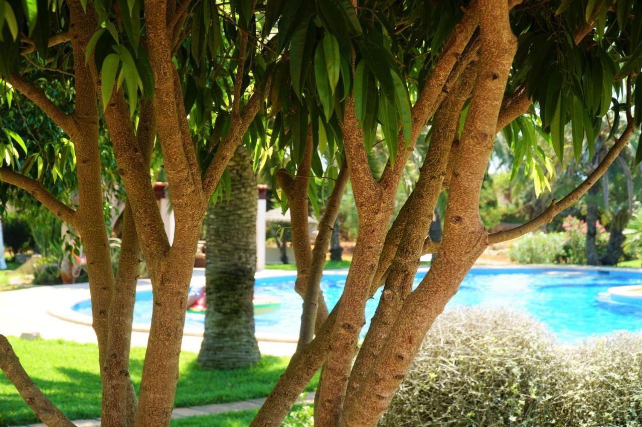 Agroturismo Finca Sa Tanca Cala D'Or Zewnętrze zdjęcie