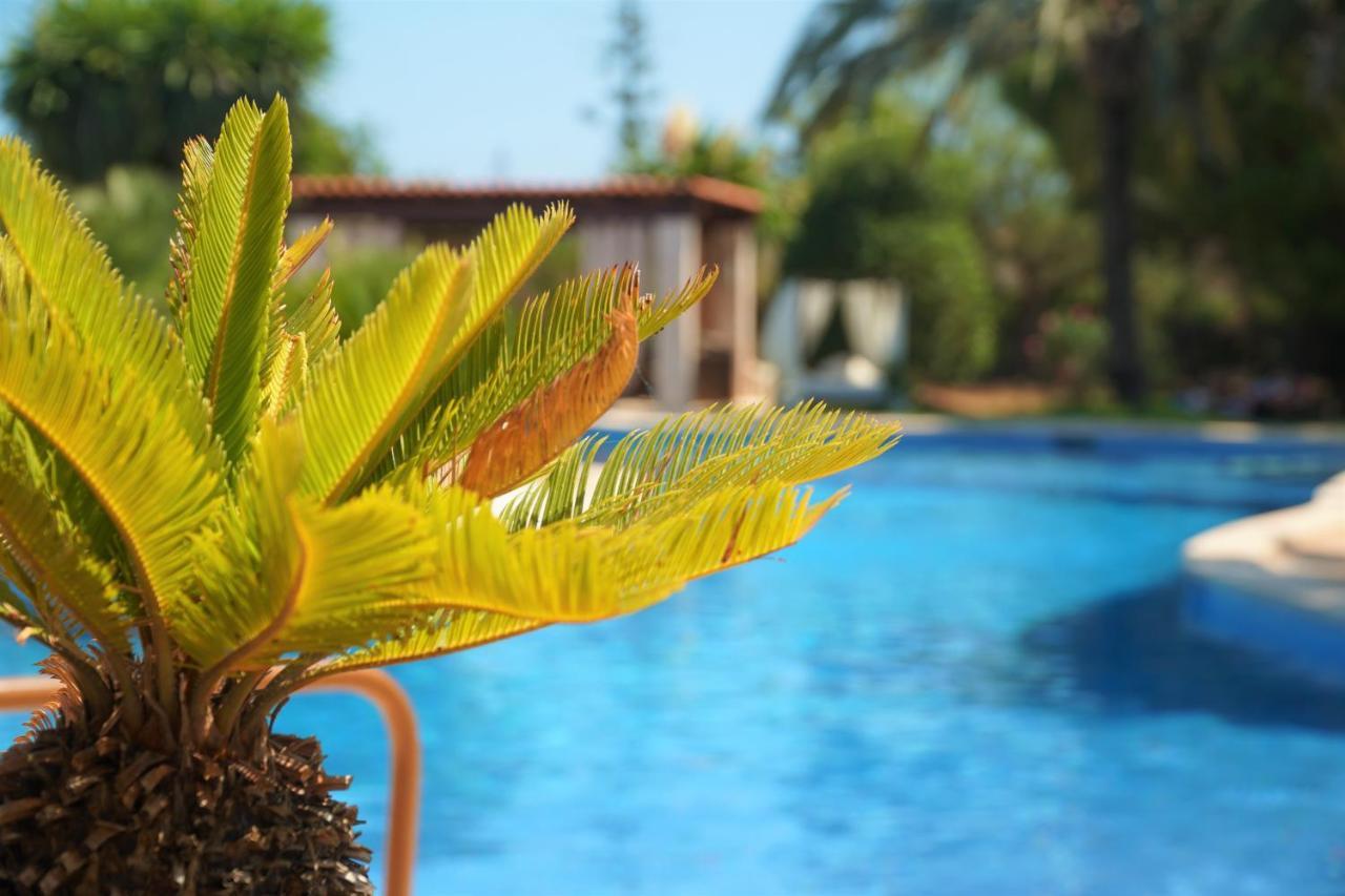Agroturismo Finca Sa Tanca Cala D'Or Zewnętrze zdjęcie