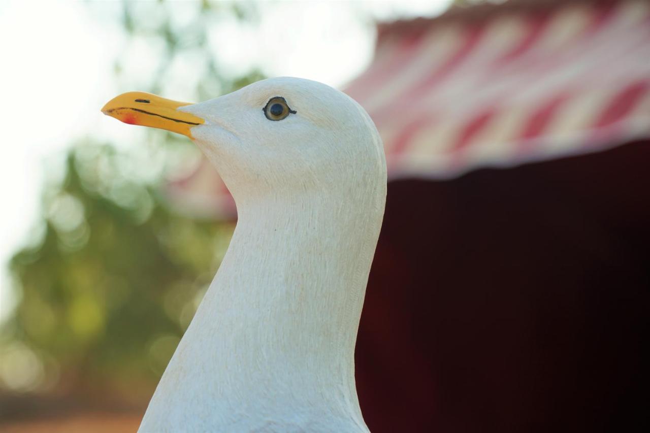 Agroturismo Finca Sa Tanca Cala D'Or Zewnętrze zdjęcie