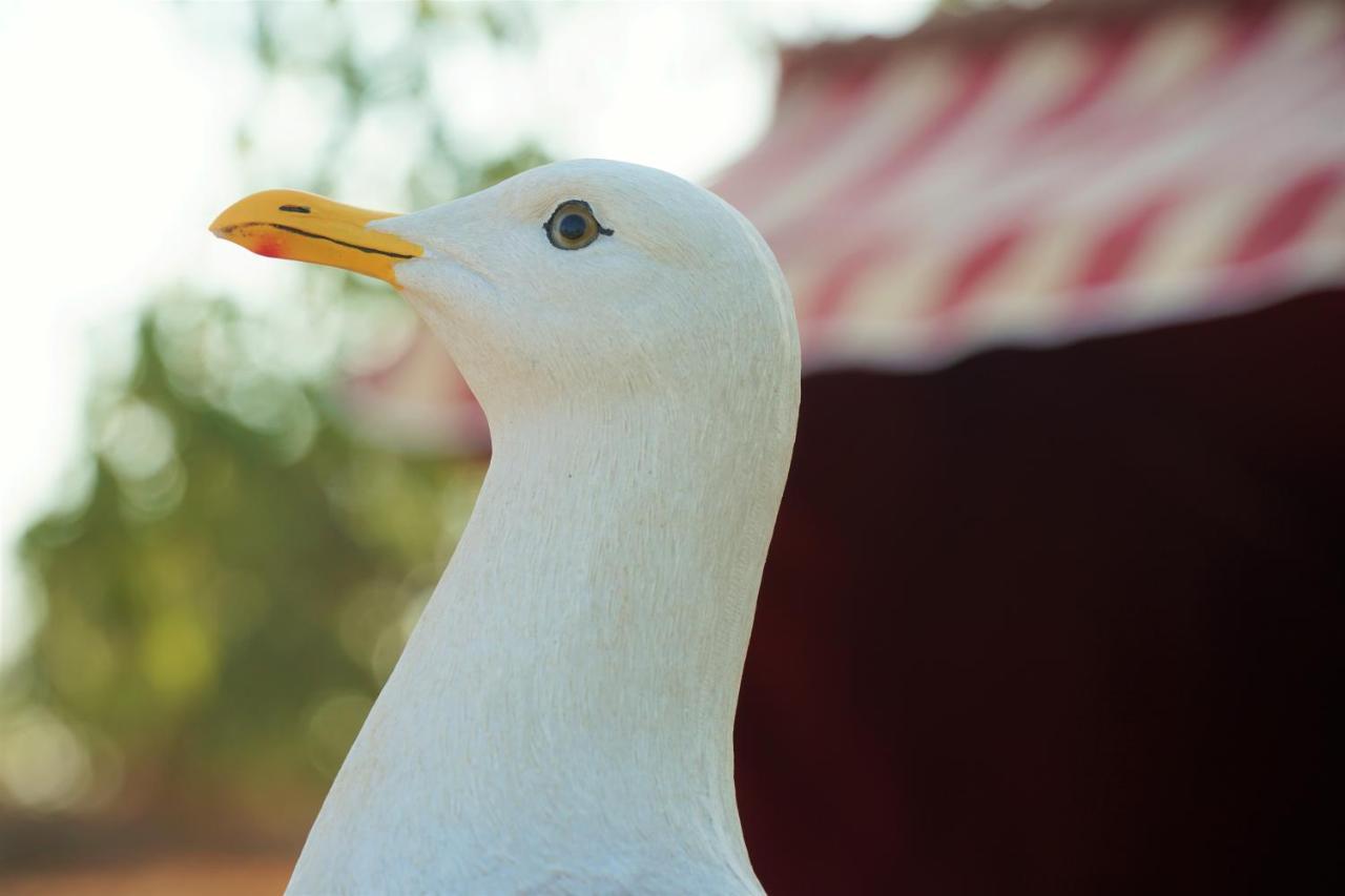 Hotel Agroturismo Finca Sa Tanca Cala D'Or Zewnętrze zdjęcie