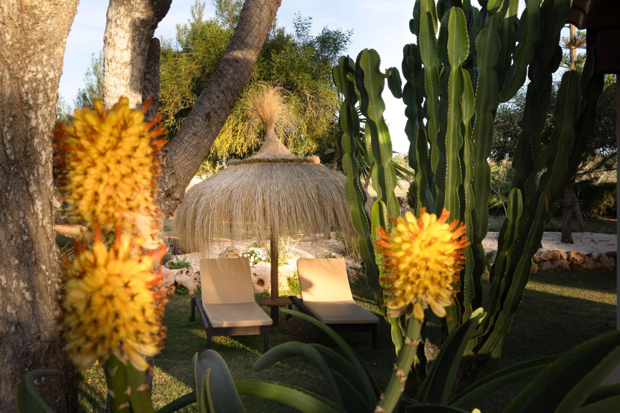 Agroturismo Finca Sa Tanca Cala D'Or Zewnętrze zdjęcie