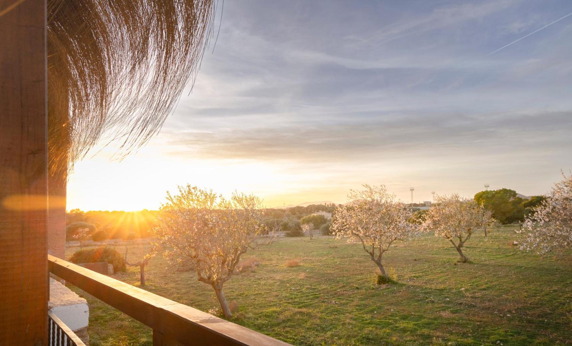 Hotel Agroturismo Finca Sa Tanca Cala D'Or Zewnętrze zdjęcie