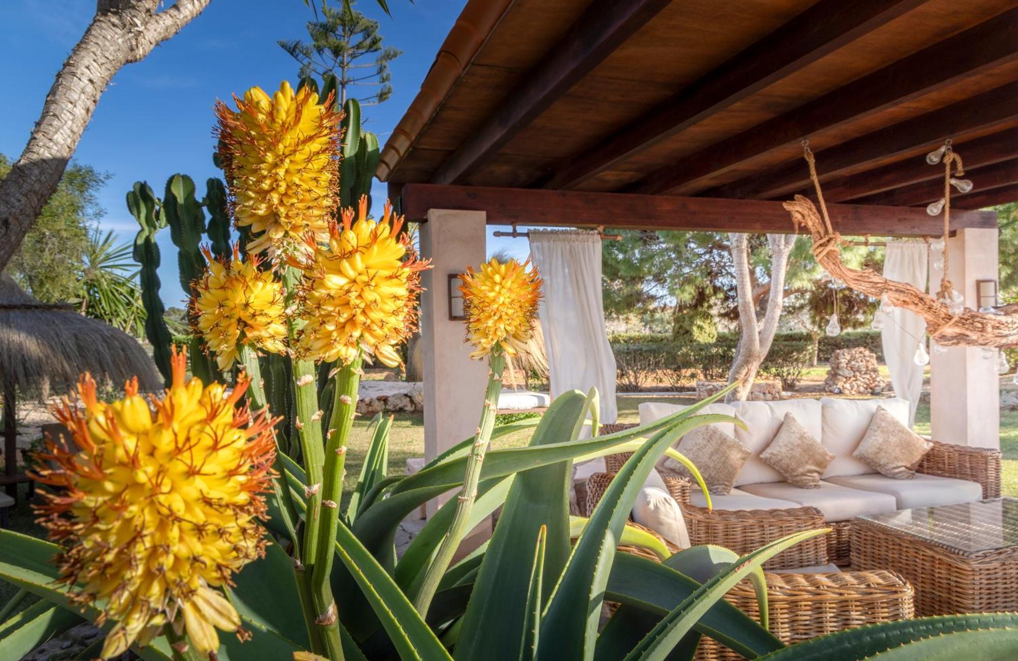 Agroturismo Finca Sa Tanca Cala D'Or Zewnętrze zdjęcie